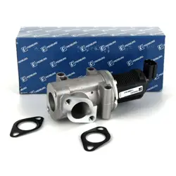 EGR Valfi (Fiat Doblo 1.9Jtd)