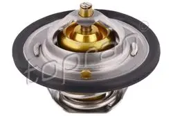 Termostat (Ford:Fiesta-Focus 1.4-1.6 16V (82C)