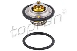 Termostat (VW: