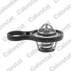 Termostat BMW Mini R50 R52