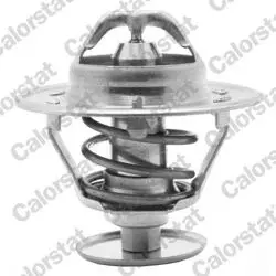 Termostat (Nissan Mazda Rover)