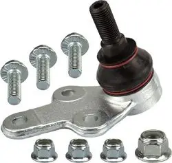 Rotil (21mm) (Ford: Focus Cmax 03 -)