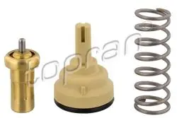 Termostat 95-110C (VW Golf 06-13 Passat 11-15 Polo 10-14) Blg-Bmy-Cave