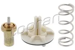 Termostat 80-95C (VW Golf 06-13 Passat 11-15 Polo 10-14) Blg-Bmy-Cave