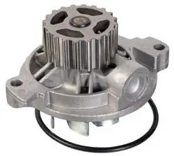 Devirdaim (Vw