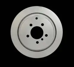 Fren Diski (Land Rover Range Rover Iıı Arka / 3.0-3.6 / 05-12)
