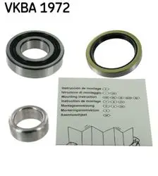 Rulman Kiti / Porya