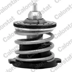 Termostat 87°C Polo Passat Jetta Tiguan 1.2Tsı 1.4Tsı 14 -