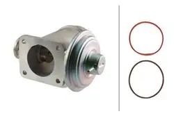 EGR Valfi BMW M57 E46 E60 E61 E65 X5 E53
