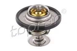 Termostat (Ford: Bmax 12-/ Focus-11-15 / Fiesta 13-/ Mondeo 14-Connect 13-Courıer 14 1.0 Motor)