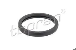 Conta Termostat Ford