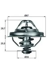Termostat BMW E36 M51