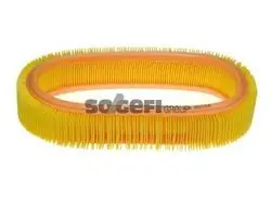 Hava Filtresi R9 R19 Clio Enj,