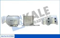 Motor Yağ Soğutucu BMW B38 B46 B48 F20 F22 F30 F32 F34 F36 G20 G30 G11 G12 G01 G02