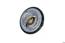 VW T4 2.5 ACV Termostat 069121113C