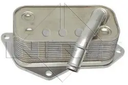 Motor Yağ Soğutucu BMW N20 N26 N51 N52 N53 N54 N55 E81 E87 E90 E60 F10
