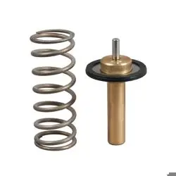 Termostat Volvo C30 (10 12) C70 II (10 13) S60 II (10 14)