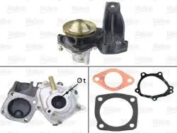 Su Pompası Fiat Regata / Rıtmo II Motor Soğutma Bınek (Ithal)