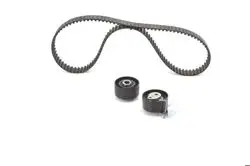 Triger Tk 08-308-407-508-807-3008-5008-C4-C5-Exp-Scd-Jumpy 2.0Hdi
