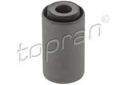 Salıncak Burcu T.Porter.T4