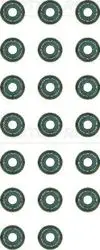 Subap Lastiği Ford Focus II 2.5 05-12 Mondeo IV 2.5 07-15 S-Max 06-14 Volvo C30 2.4İ T5 06-12 Victor