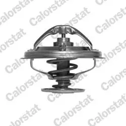 Termostat BMW M60 M62 E34 E38