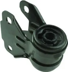 Salıncak Burcu 11-Focus-Cmax