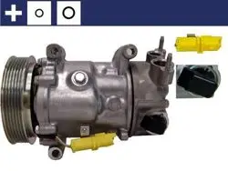 Klima Kompresörü 06-207-307-308-508-C3-C4