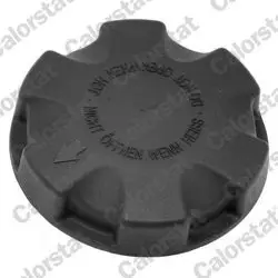 Radyatör Yedek Su Depo Kapağı BMW E60-E63-E64-E70-E71-E90-E92-E93-F07-F10