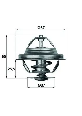 Termostat 80°C (Om616) W123 79-85 W460 79-87 T1 T2 Minibüs 82-90 Unımog 96 -